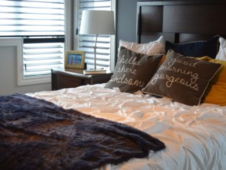 Punaise de lit dans la chambre